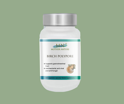 Birch Polypore Supplement (1000mg) - 120 capsules