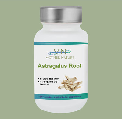 Astragalus Root Supplement (450mg) - 120 capsules