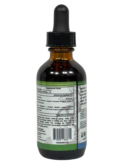 Maitake Liquid Supplement (1000mg) – 60ML Herbal Tincture