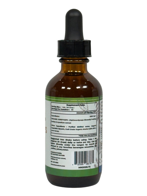 Cordyceps Liquid Supplement (1000mg) – 60ML Herbal Tincture