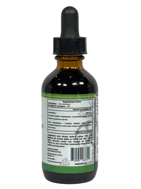 Honey Mushroom Liquid Supplement (1000mg) – 60ML Herbal Tincture
