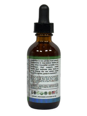 Cordyceps Liquid Supplement (1000mg) – 60ML Herbal Tincture