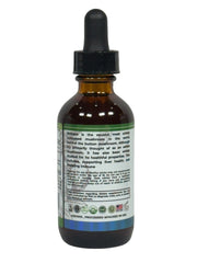 Shiitake Liquid Supplement (1000mg) – 60ML Herbal Tincture